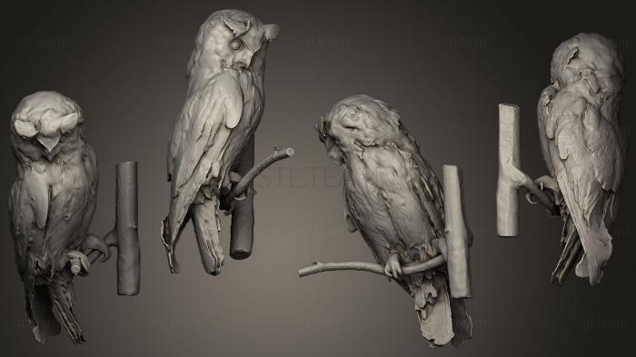 3D model Owl 05 (STL)